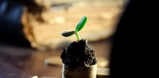 Czy na dywidendach można zarobić?