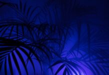 Co można zyskać dzięki pasji?