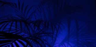 Co można zyskać dzięki pasji?