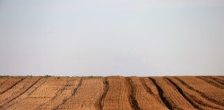 Dlaczego usunięto nk?