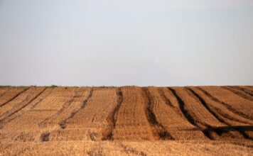 Dlaczego usunięto nk? Dlaczego usunięto nk?