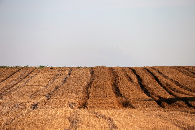 Dlaczego usunięto nk? Dlaczego usunięto nk?