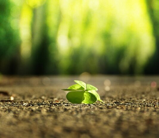 Jak znaleźć to co mnie interesuje?