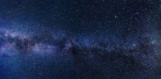 Czy MeWe jest darmowe?