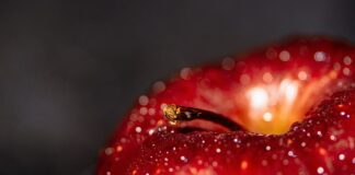 Jakie są korzyści z wdrożenia sob? Jakie są korzyści z wdrożenia sob?