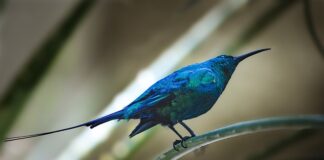 Czy można przesłać skan faktury e mailem?