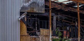 Czy marzyć to czasownik?