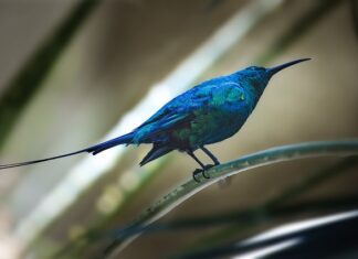 Czy na fakturze musi być imię i nazwisko osoby wystawiającej?